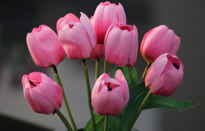 sztuczne kwiaty, tulipany