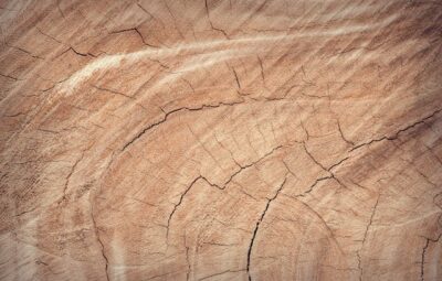 Płytki imitujące drewno w stylu skandynawskim - jak je zastosować?